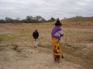 Chamia viaja a su territorio usurpado en la zona sur de Amotocodie, donde su casa, su bosque ha sido destruida por los ganaderos