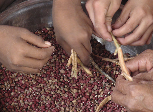 Chaco Paraguayo