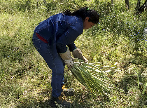 Chaco Paraguayo