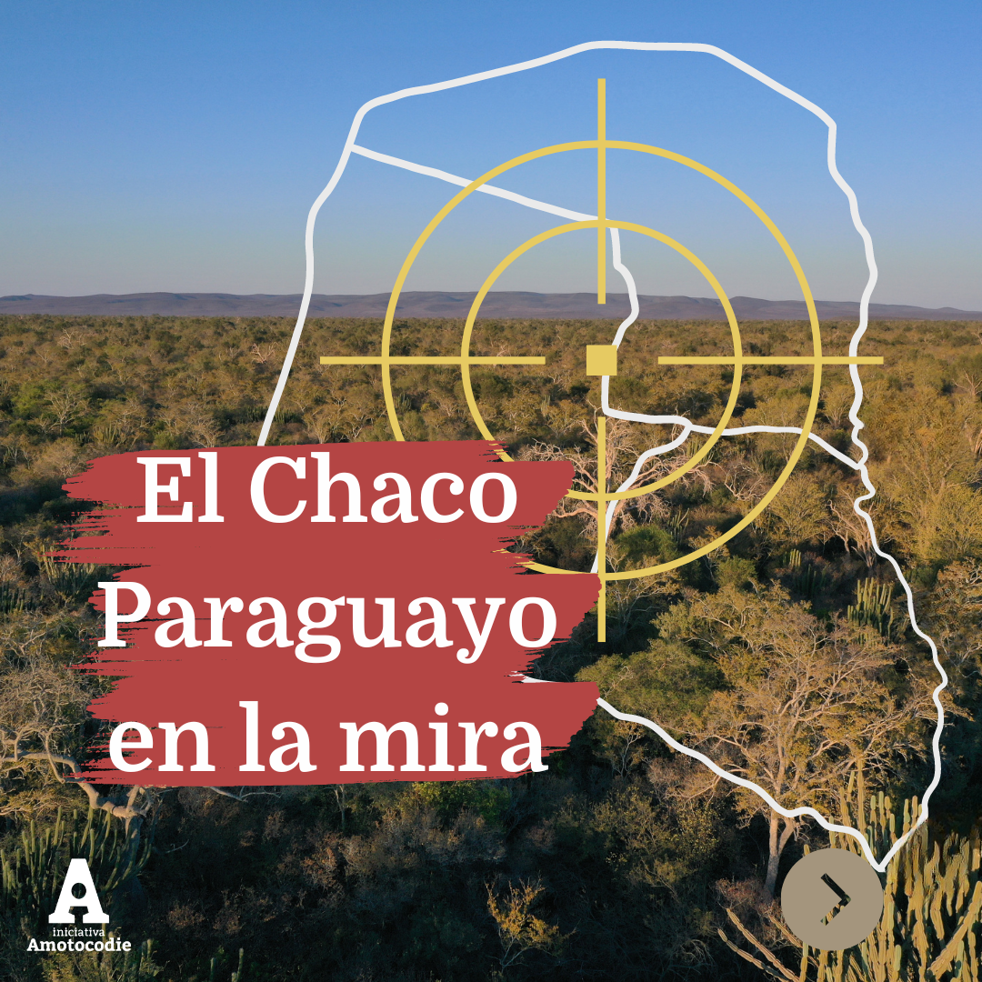El Chaco Paraguayo en la mira